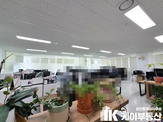 서울 영등포구 문래동6가 33 에이스 NS타워(문래동6가 33) / 7층 / 65 평 월세 매물번호 12342 사진 13